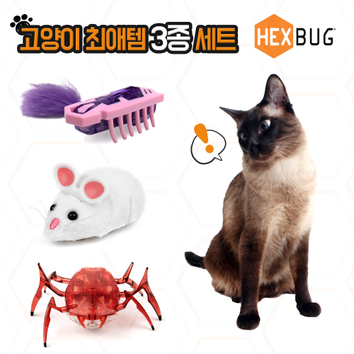 헥스버그 고양이 최애템 3종세트 마우스캣토이/나노캣토이/스카라브